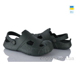 Кроксы Golden Lion